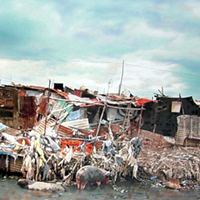 Hyper-realism painting Hard Luck and Pain by Denis Peterson