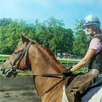 Hyperrealism horse painting at Saratoga Racetrack by Dennis Peterson