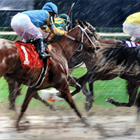 HDeath Seat at Saratoga Racetrack hyper painting web by Denis Peterson