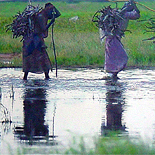 Hyperreal painting Yale Genocide Project